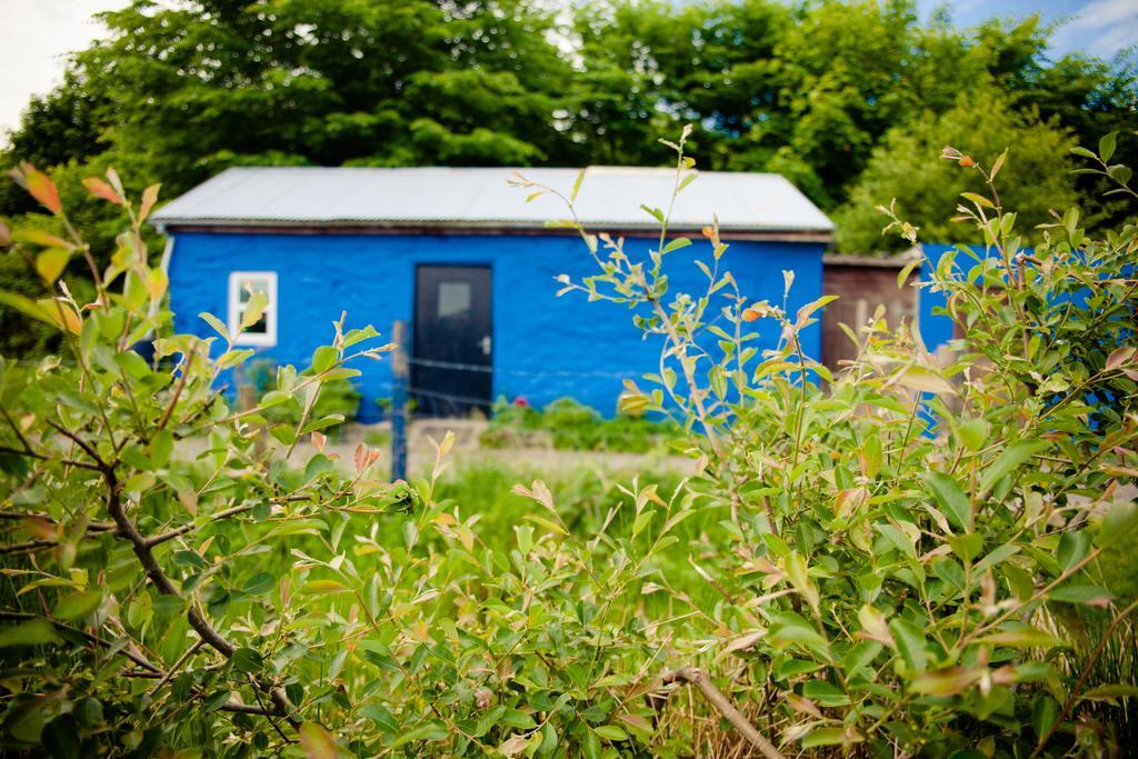 The Snowdon Inn - Y Fricsan Cwm-y-glo Bilik gambar